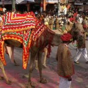 Colorfully adorned camel guided by a man in a crowd during a traditional Indian festival with music, color, and celebration