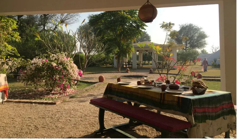 Breakfast table, Savista Retreat, Jaipur. Outdoor dining with garden view and traditional decor.