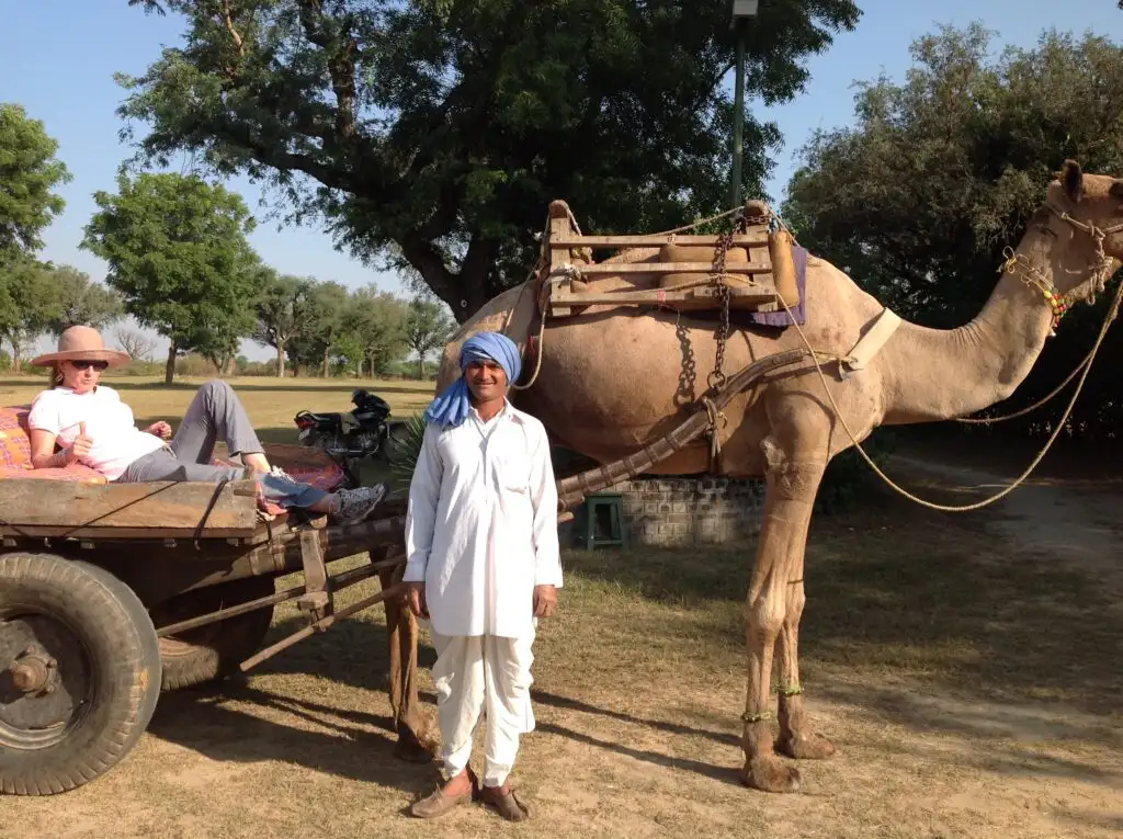 Camel cart ride at Savista Retreat: tourist and local caretaker.
