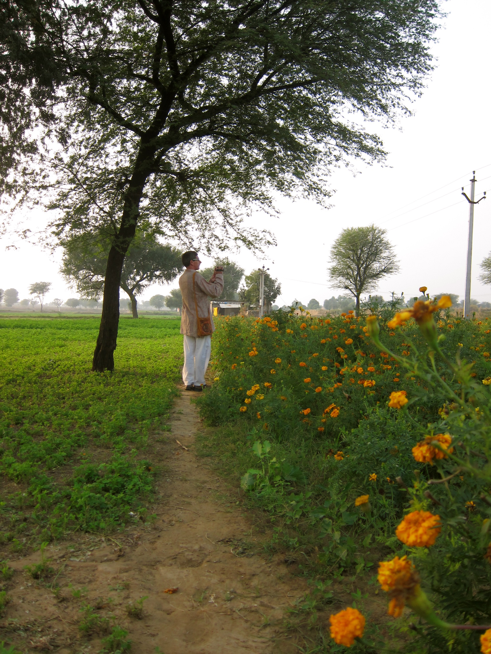 Hiking in the countryside