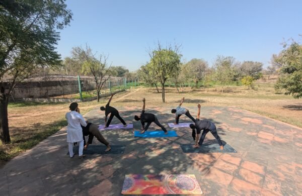 PXL_20250215_053826010