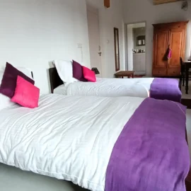 Bright bedroom with two single beds, purple accents, and wooden furniture