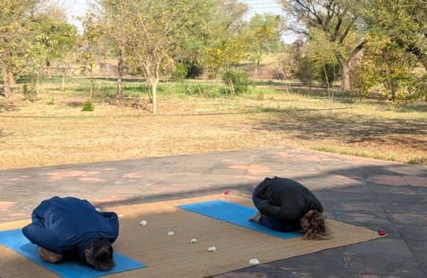yoga_5