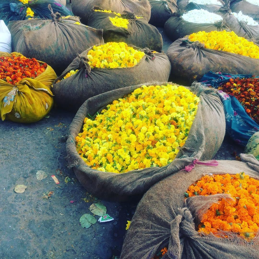 At Jaipur's flower market