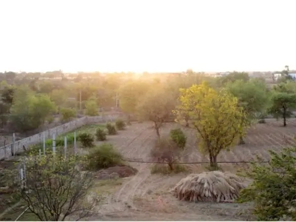 Scenic sunset over a rural farm with fields, trees, and bundled harvested crops in the foreground for autumn harvest.