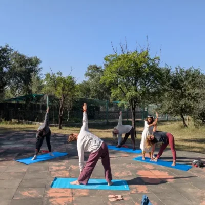 Morning asana practice
