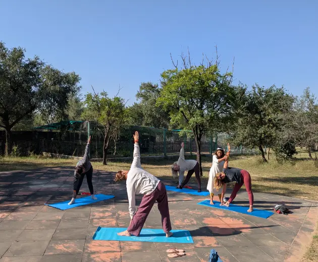 Morning asana practice