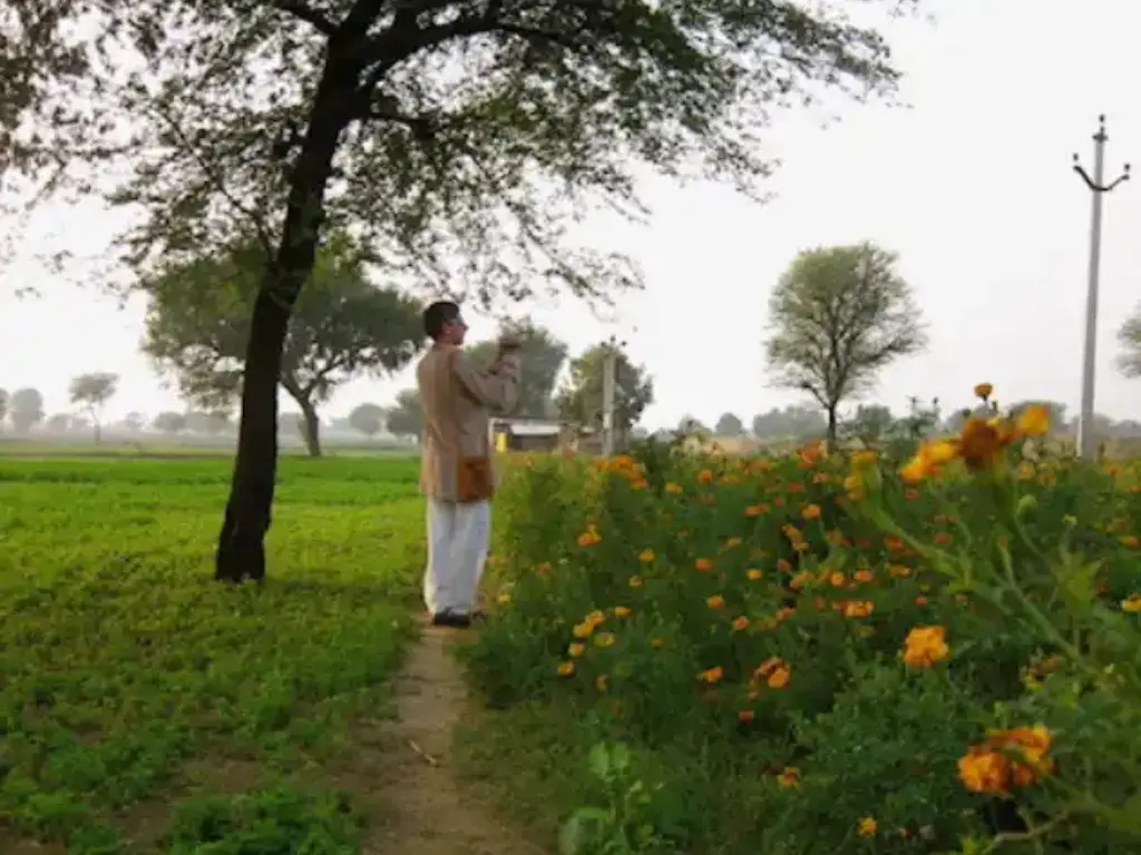 Cross country hiking