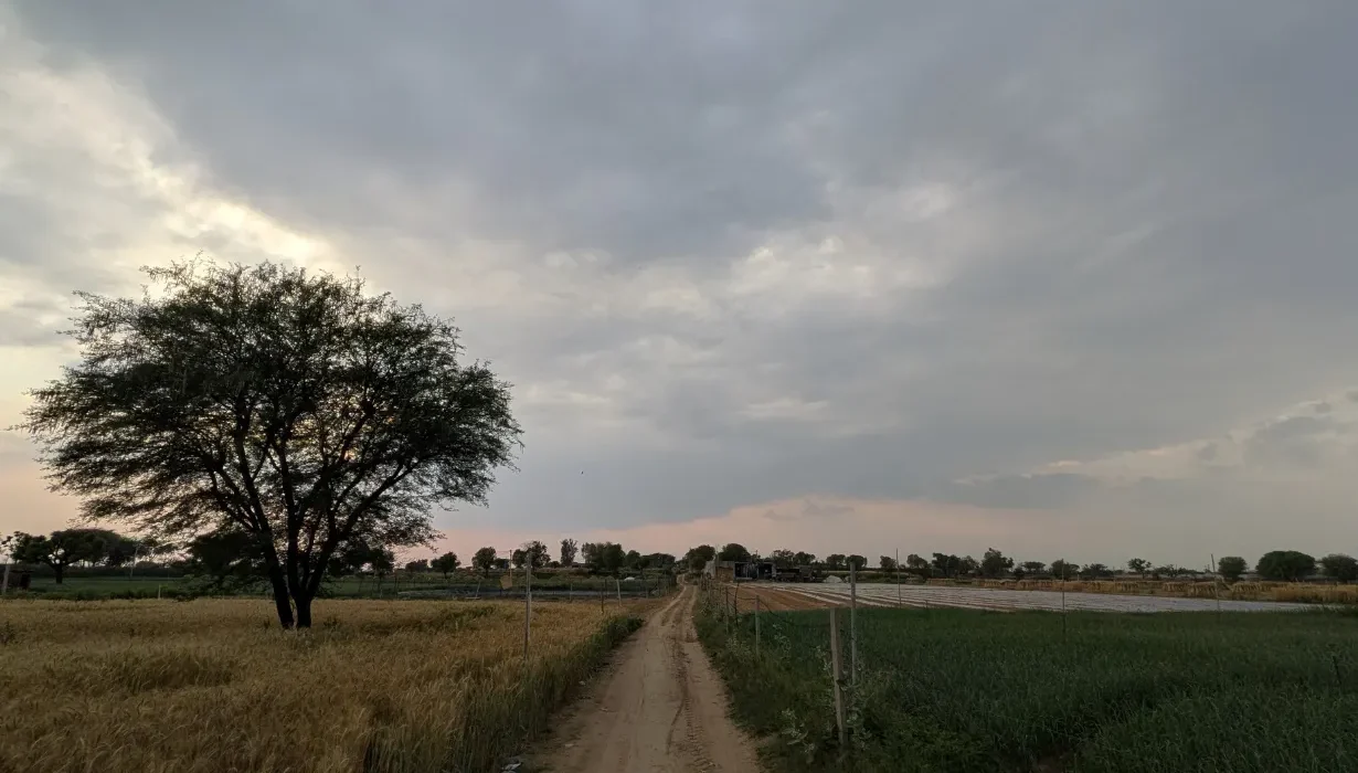 black clouds over the field