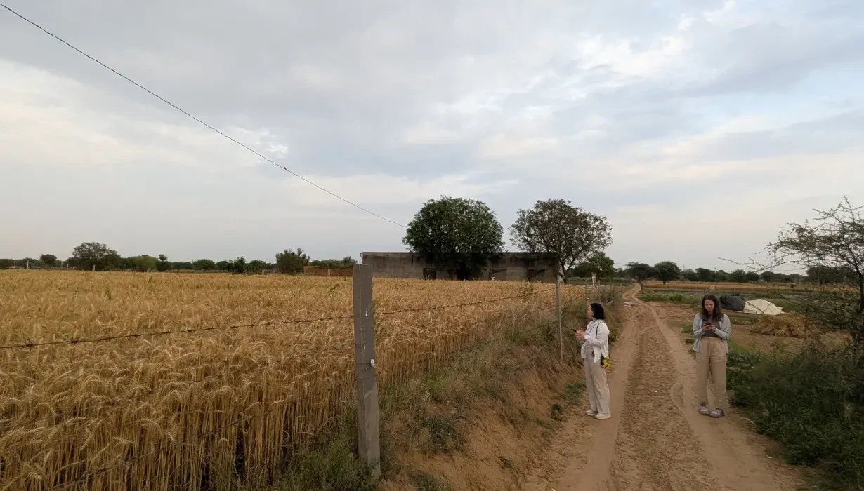 farm field walk