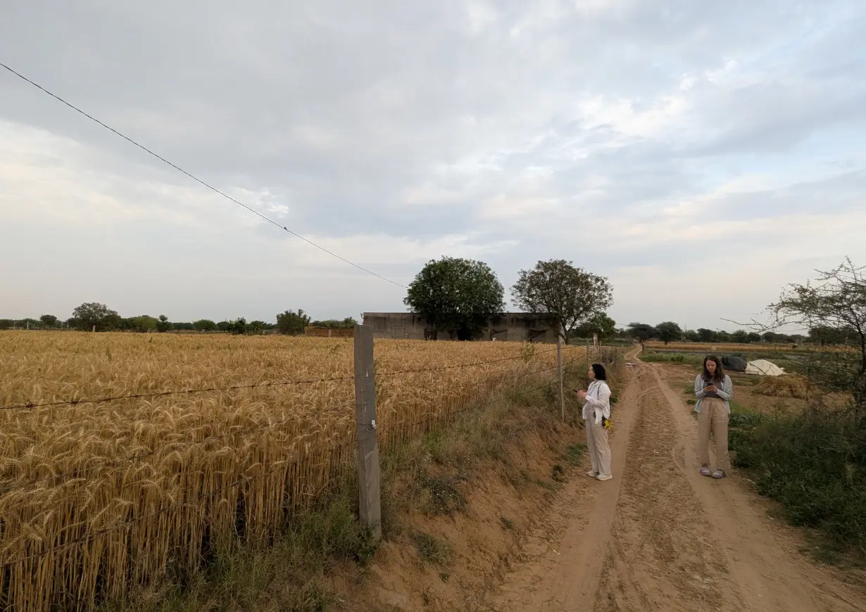 farm field walk