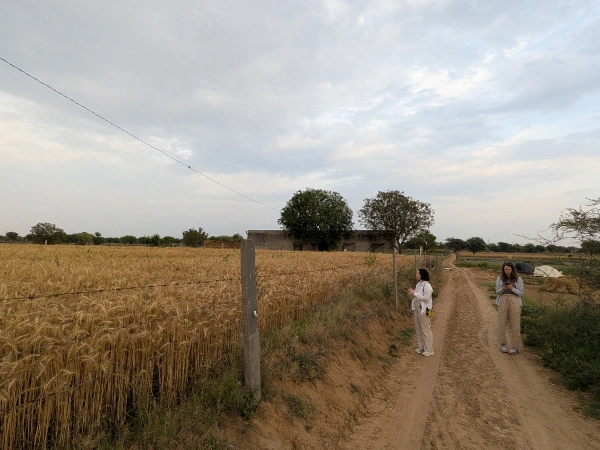 farm field walk