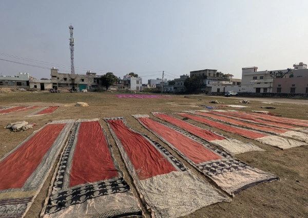 Long lengths of vibrant, newly printed block-print cotton fabric in indigo and earth tones laid out to dry in the sun in Bagru village.