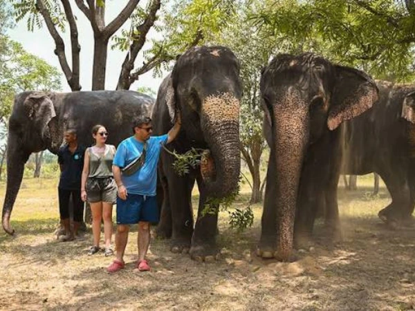 Ethical Animal Encounters: Visiting the Elephant Village in Jaipur