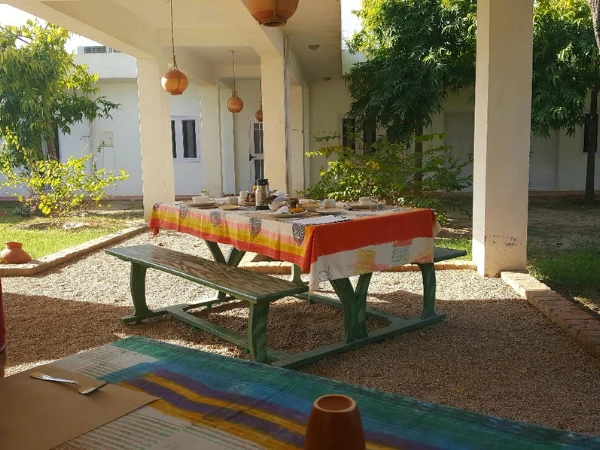 Finding a Pure Vegetarian Retreat in Jaipur: Clean Eating & Farm-to-Table Dining