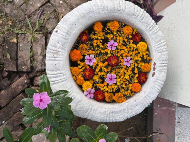 Savista Retreat guest photo shared by Prema Margot