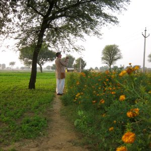 Hiking in the countryside