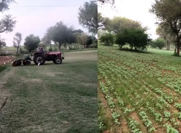 image - 2025-09-05T011735.104